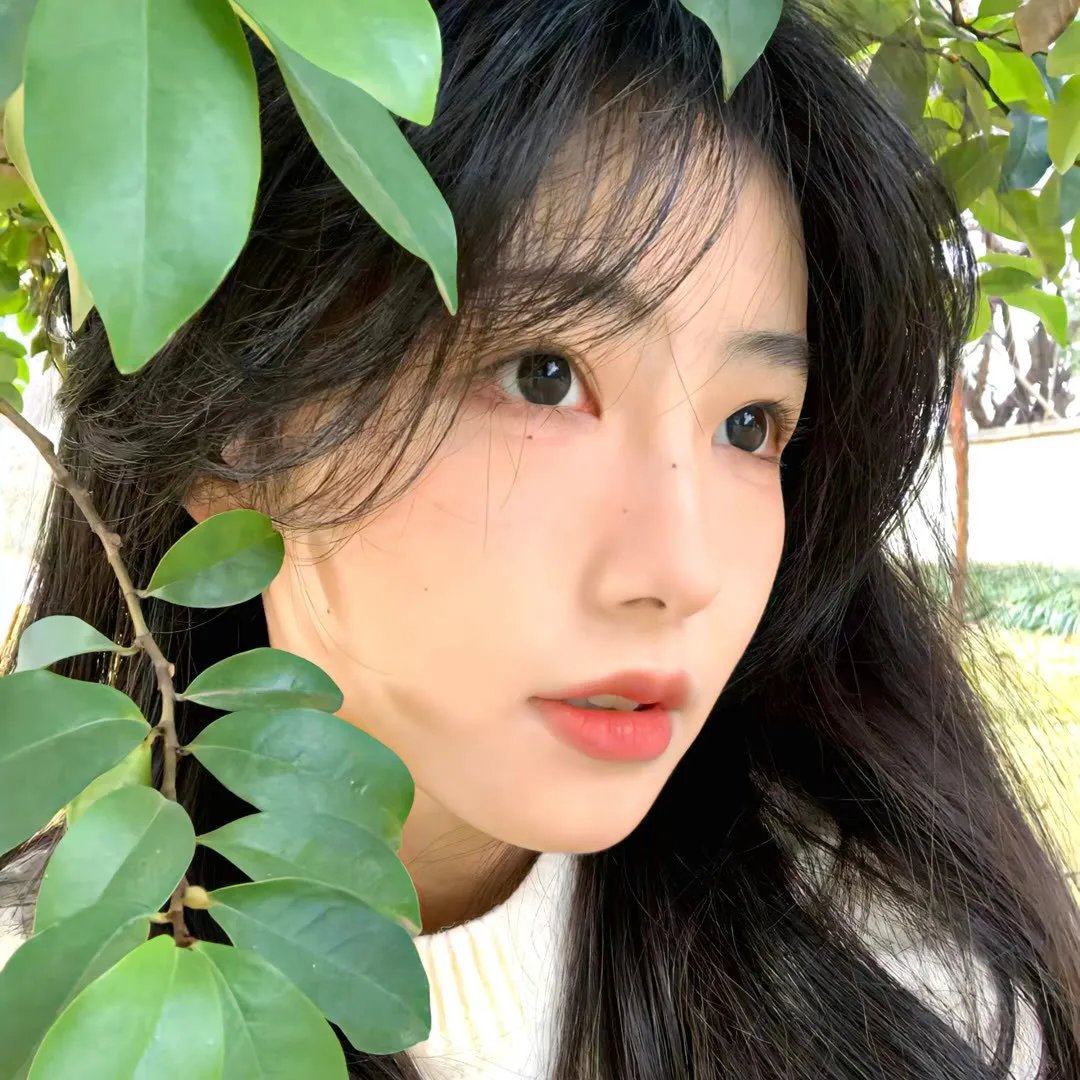 少年天子